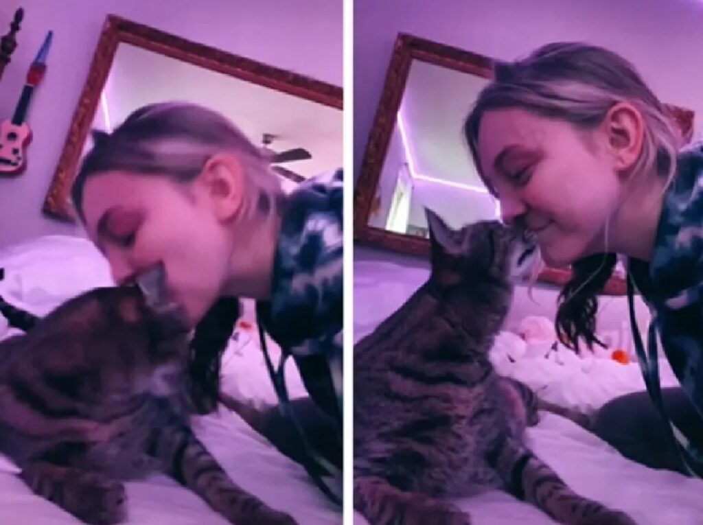 gatto ricambia bacio