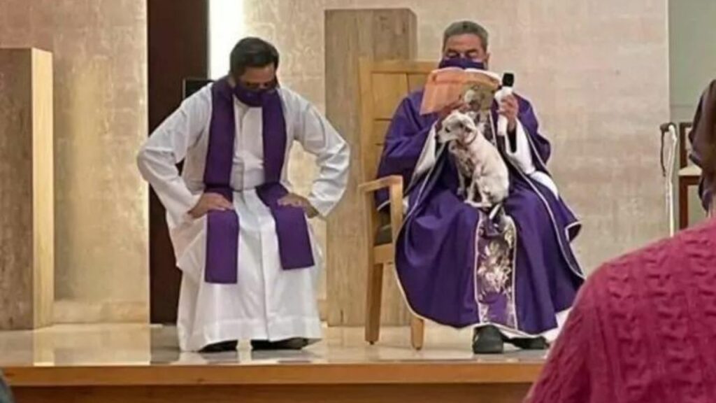 Utenti del web criticano il sacerdote che ha condotto la messa con il suo cane malato sulle ginocchia