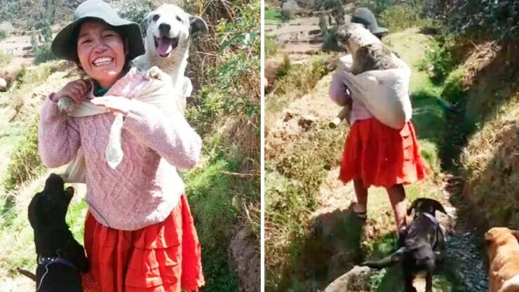 Questa donna si porta al lavoro il suo cane anziano caricandolo sulle spalle