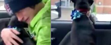 Il video di un giovane che si ricongiunge al suo cane smarrito: il loro abbraccio è commuovente