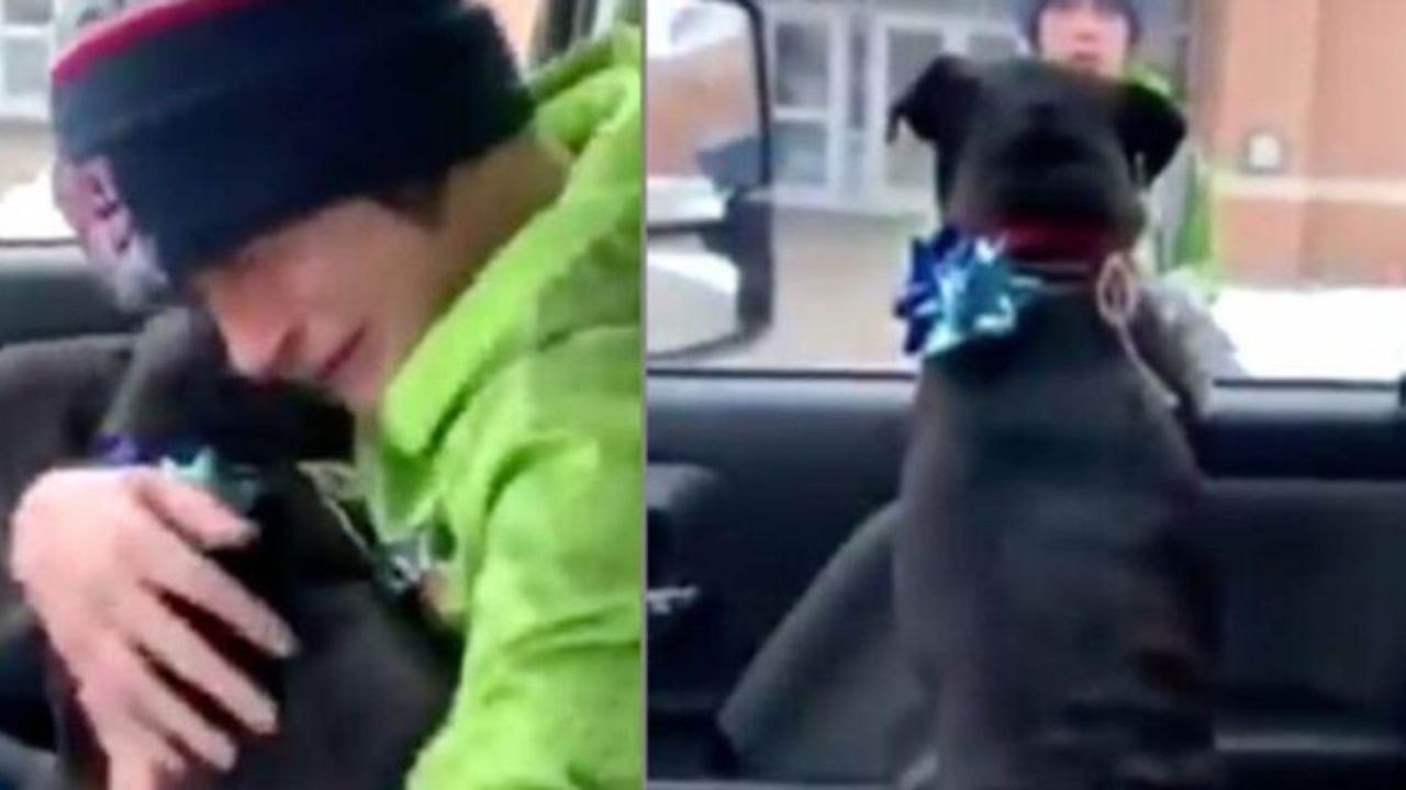 Il video di un giovane che si ricongiunge al suo cane smarrito: il loro abbraccio è commuovente