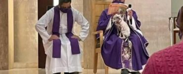 Utenti del web criticano il sacerdote che ha condotto la messa con il suo cane malato sulle ginocchia