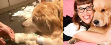 Ragazza canta nell'orecchio del suo cane per tranquillizzarlo mentre sta per andare via per sempre