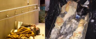 Senzatetto zittisce i passanti per non far svegliare il suo cane: "il bambino dorme"