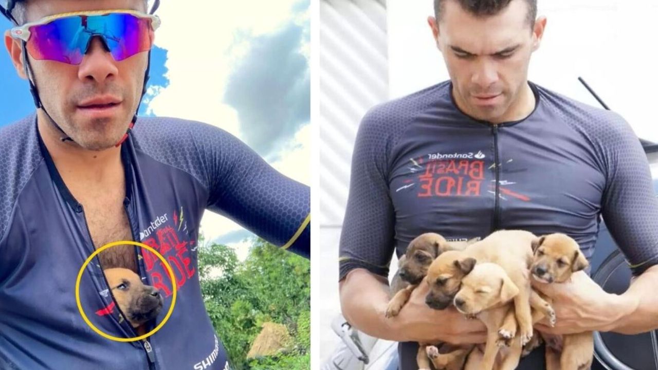 Un ciclista salva 5 cuccioli di cane che sono stati abbandonati in una buca