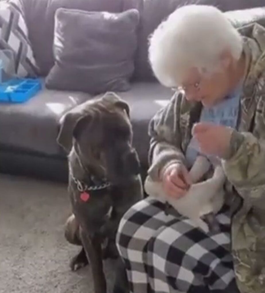nonna e cane