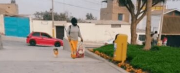 cane indossa la propria uniforme