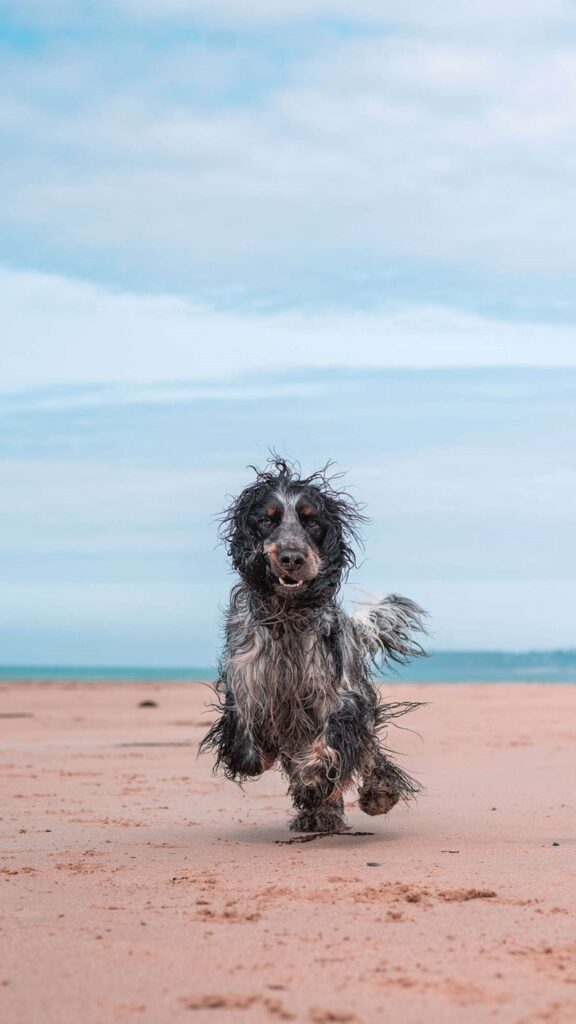 foto in spiaggia