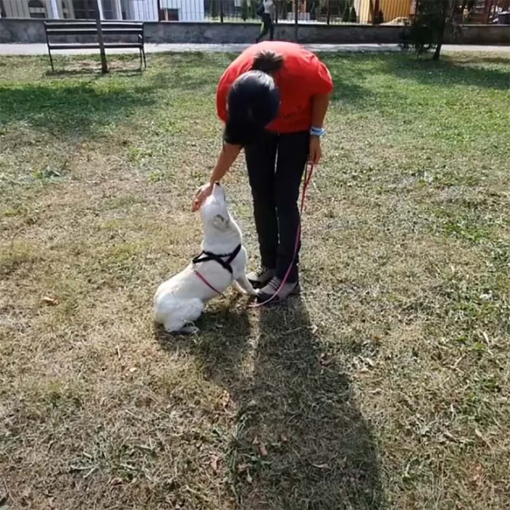 lily al parco