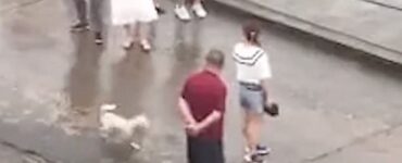 una mamma salva il cucciolo