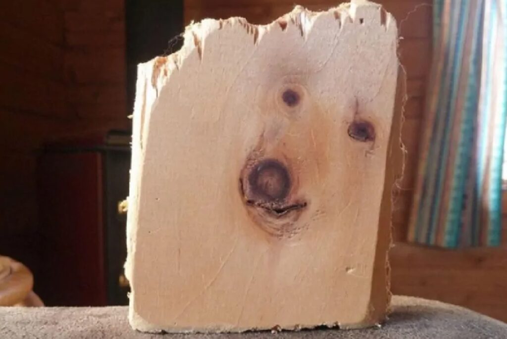 cane figura su pezzo di legno