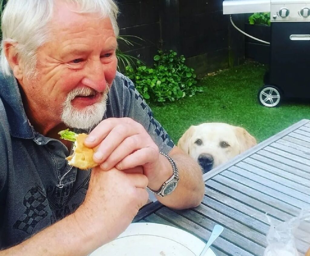 cane guarda dal basso