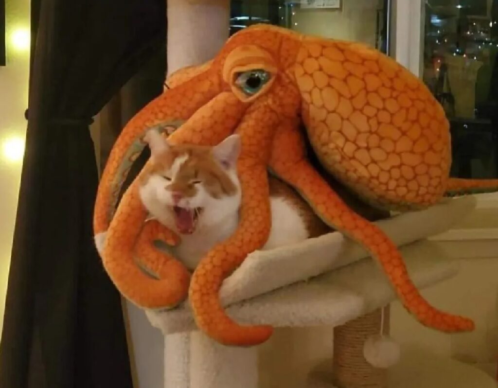 gatto catturato da tentacoli