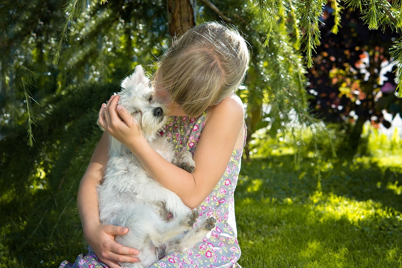 abbracciare cane