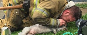 Pompiere salva un cane da una casa in fiamme, ma si rifiuta di lasciarlo andare: cerca di salvarlo in tutti i modi