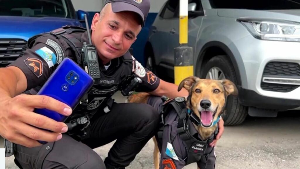 Oliveira, il cane abbandonato che oggi è una star social della Polizia di Rio
