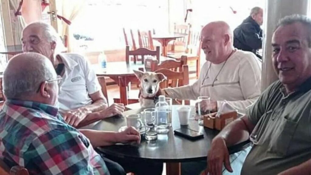 La caffetteria ha adottato un cane che si siede con le persone sole e fa loro compagnia