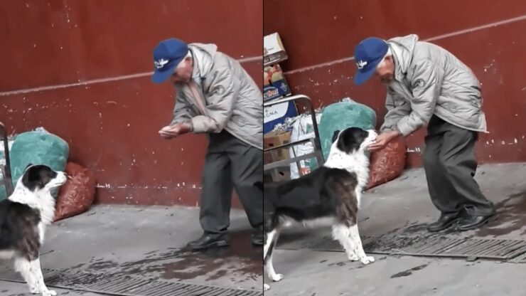 cane senzatetto assetato viene dissetato da un anziano