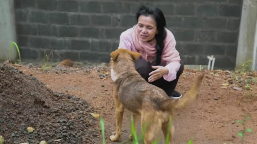 Un tenero cucciolo segue tutti i passanti chiedendo loro di portarlo a casa