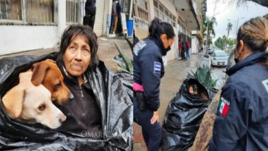donna senzatetto con sei cani