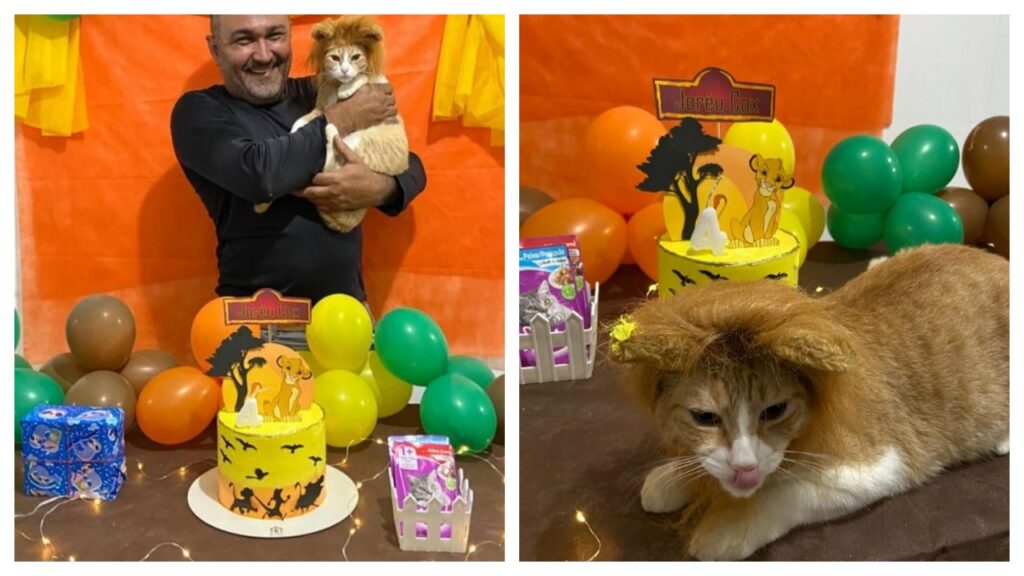 gattino festeggia il compleanno vestito da S