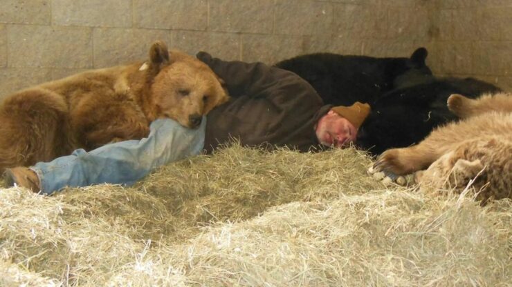 Un uomo decide di aiutare gli orsi orfani: dorme accanto a loro per farli sentire amati