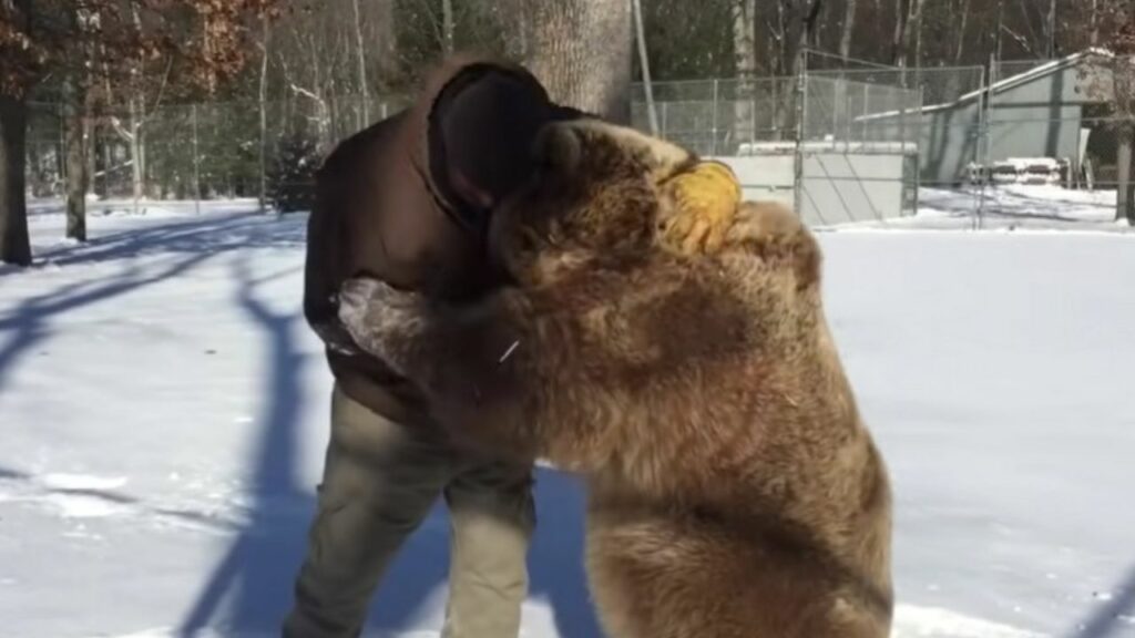 Un uomo decide di aiutare gli orsi orfani: dorme accanto a loro per farli sentire amati