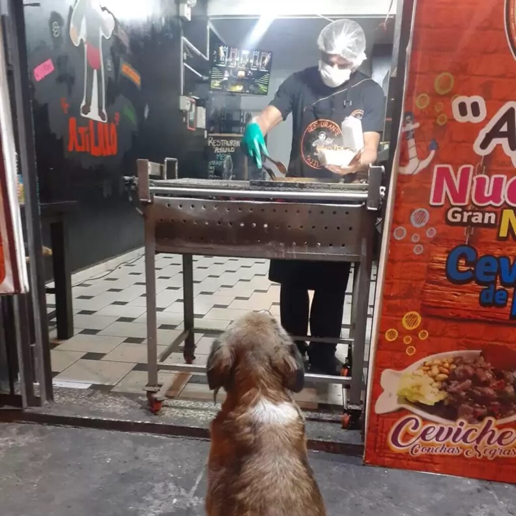 gerardo che prepara un pasto per il cane