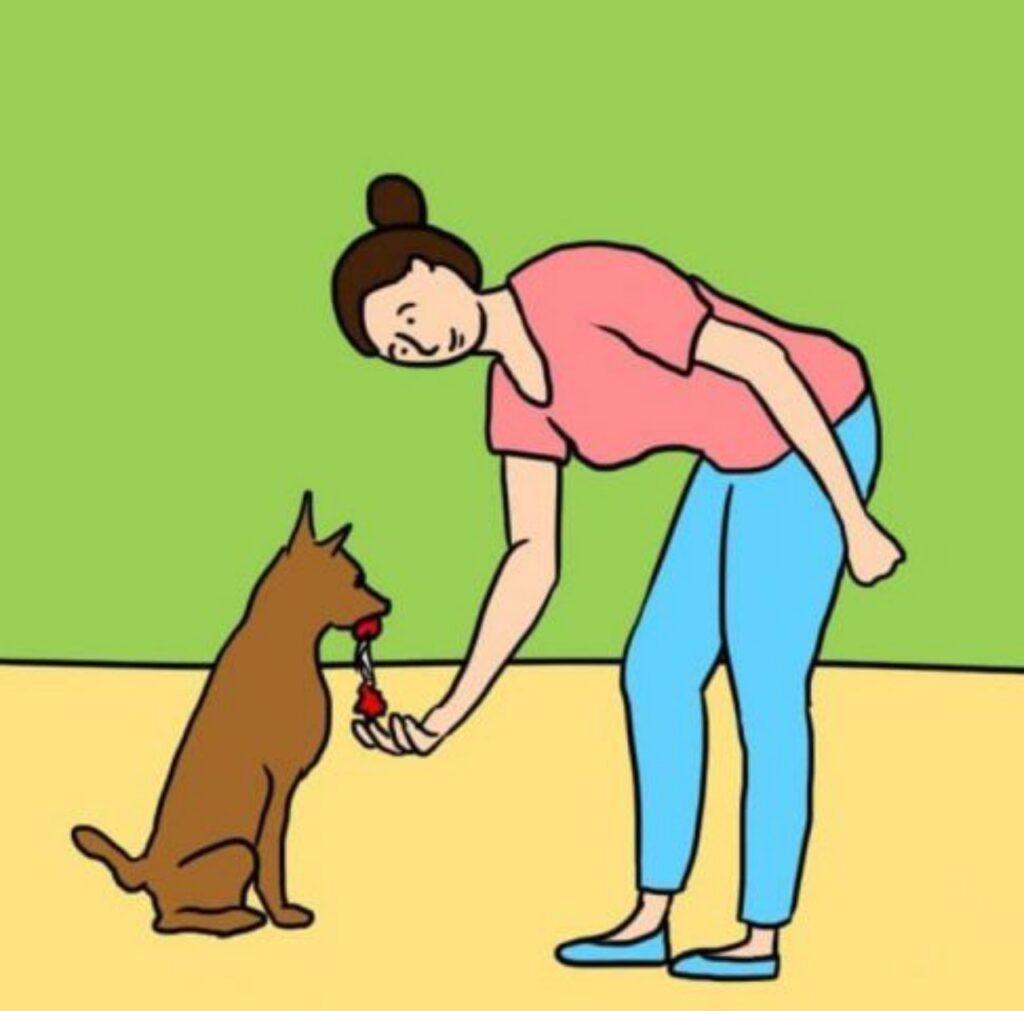 il cane comunica dandoti segnali