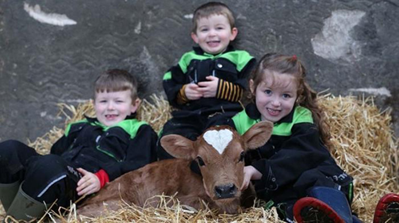 vitello adorabile con 3 bambini