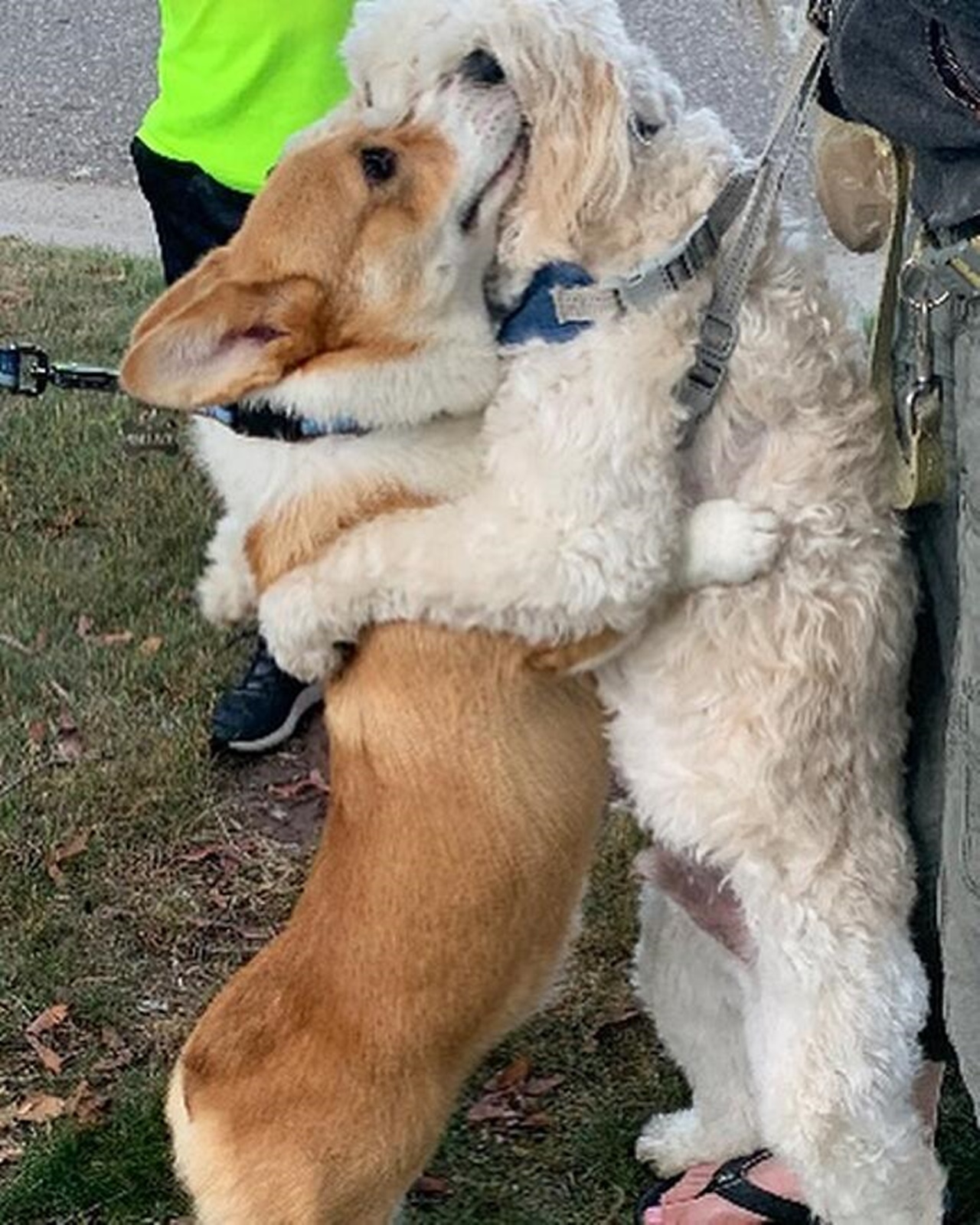 wallace abbraccio con amico