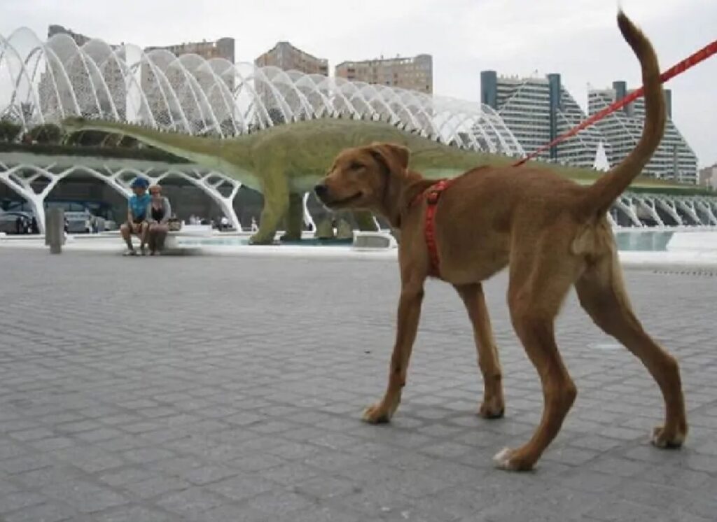 cane come ponte alle spalle