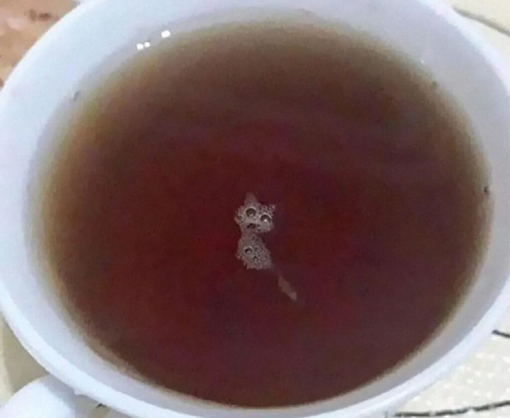 gatto nel tè