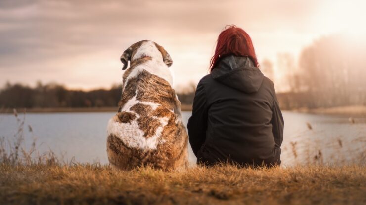 Cane e padrone