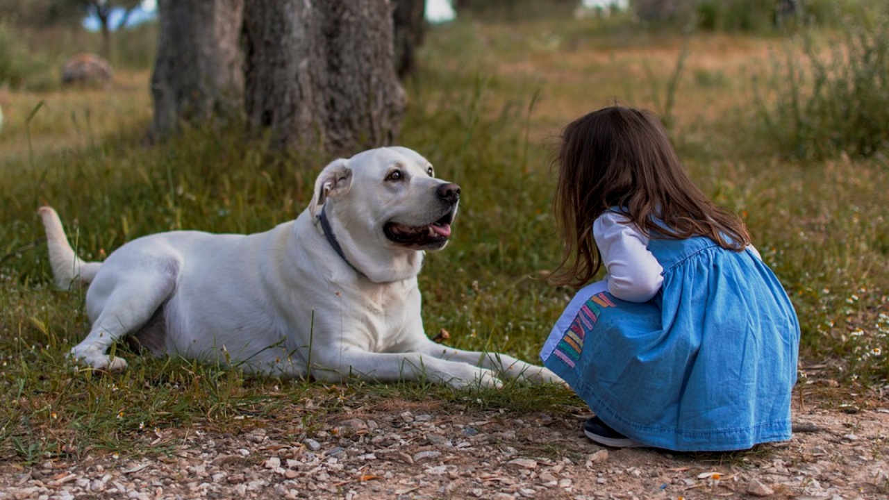 animale domestico, i benefici nell'averlo