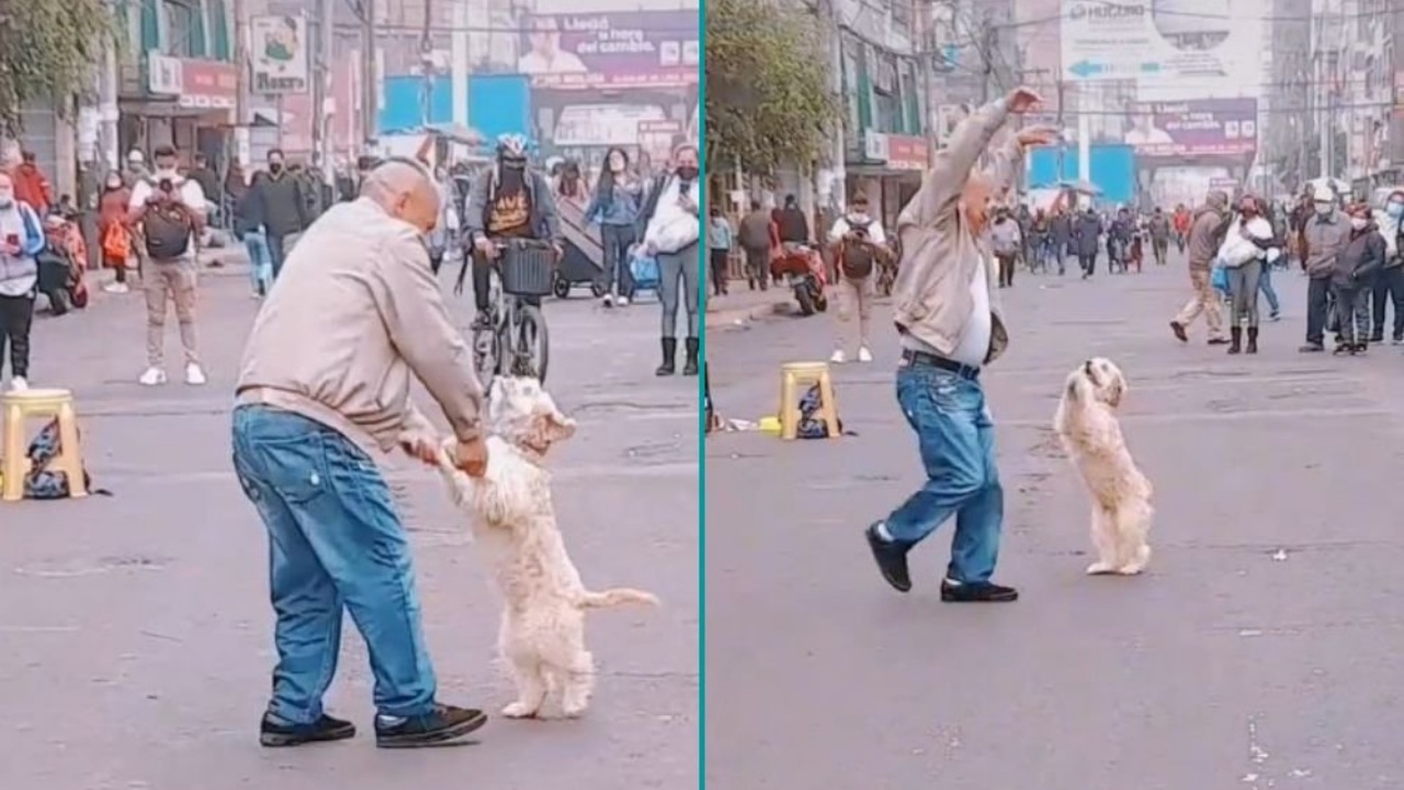 Cane e proprietario ballano l'huayno