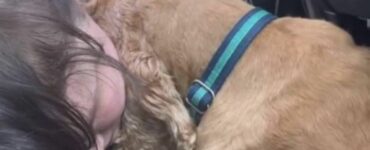L'ultimo gesto strappalacrime di questo cane e della sua padrona (VIDEO)