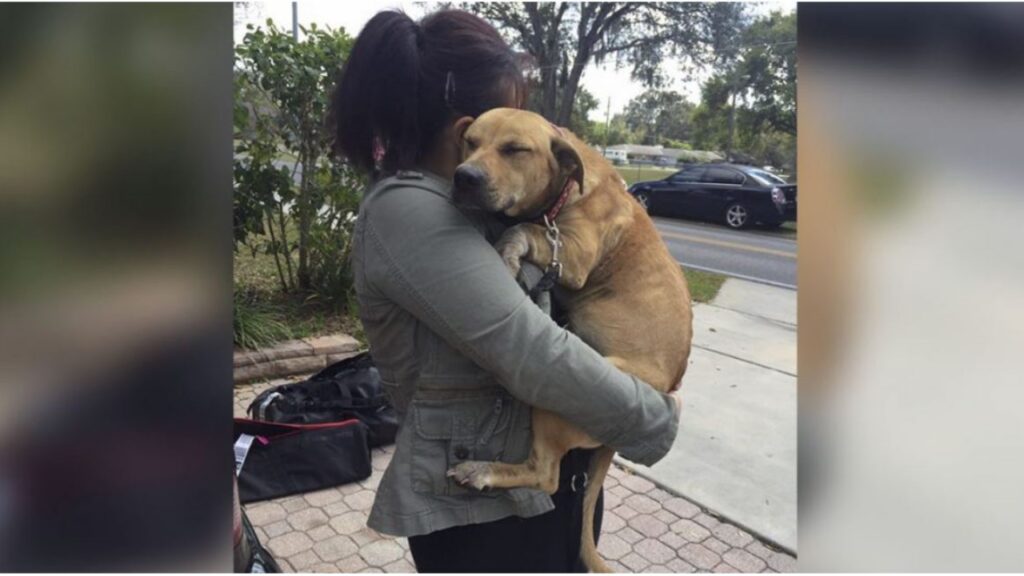 Il cane abbraccia i suoi soccorritori