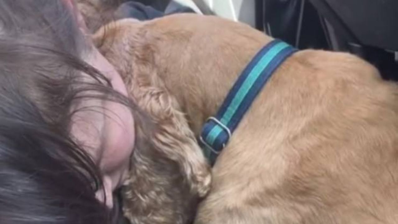 L'ultimo gesto strappalacrime di questo cane e della sua padrona (VIDEO)