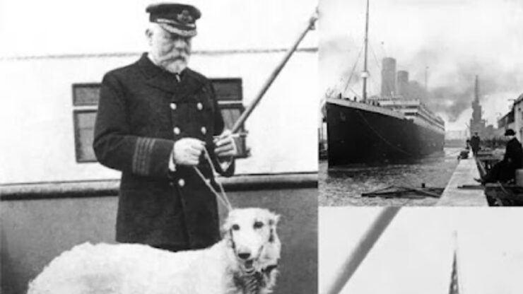 I cani sopravvissuti al naufragio del Titanic