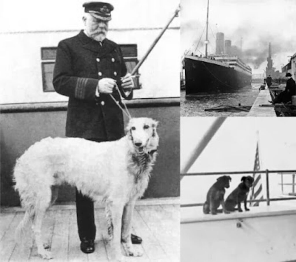 i cani morti e sopravvissuti del Titanic