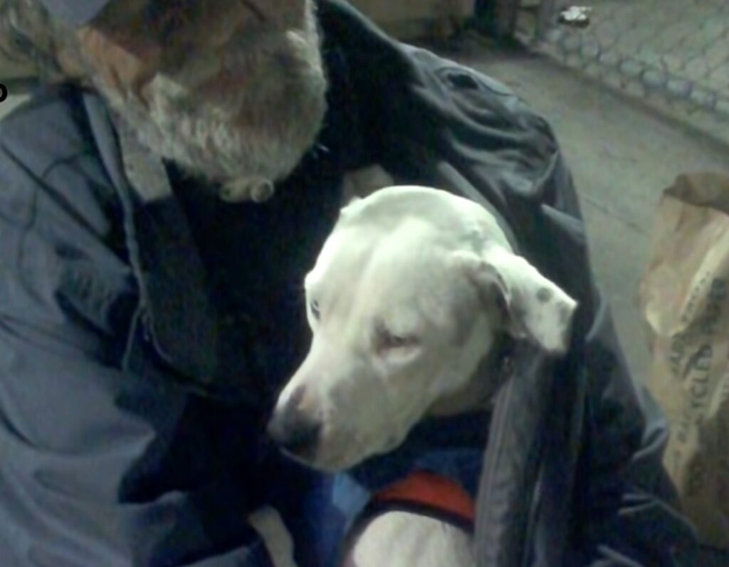 senzatetto con il suo cane