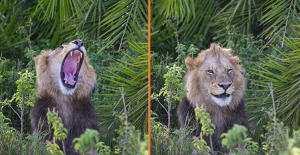 il fotografo in kenya