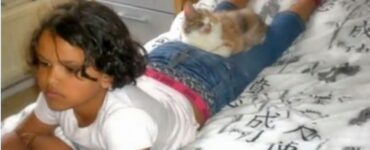 Bambino salva gatto