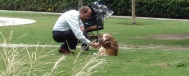 proprietario fotografato al parco con il cane disabile mentre gli porge un bicchiere d'acqua