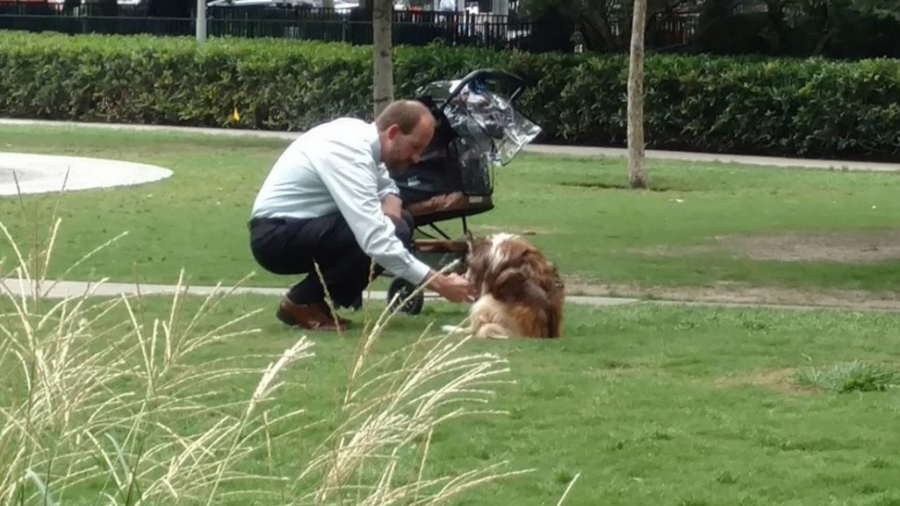 proprietario fotografato al parco con il cane disabile mentre gli porge un bicchiere d'acqua