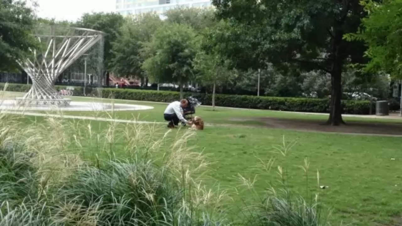 proprietario fotografato al parco con il cane disabile mentre gli porge un bicchiere d'acqua