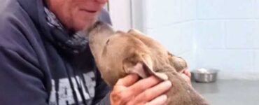 proprietario ritrova il suo cane dopo 200 giorni, l'emozionante incontro
