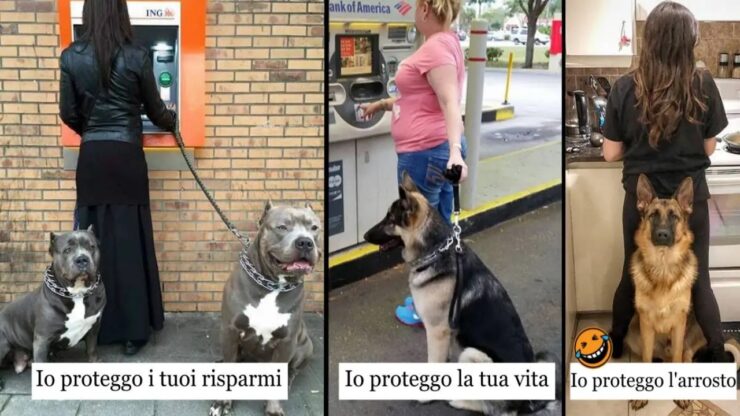 razze canine che darebbero la vita