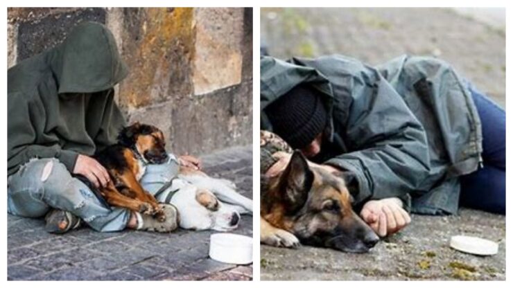 senzatetto con animale domestico